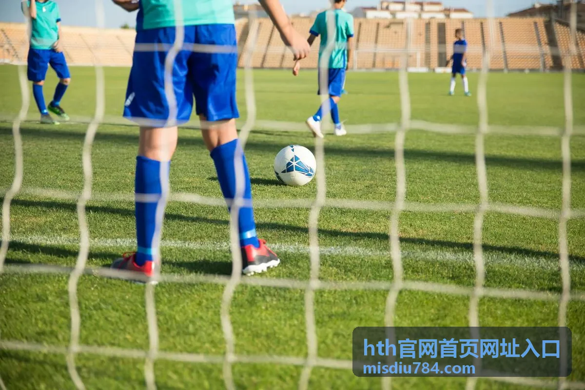 hth官网首页网址入口的页面核对要点示意图